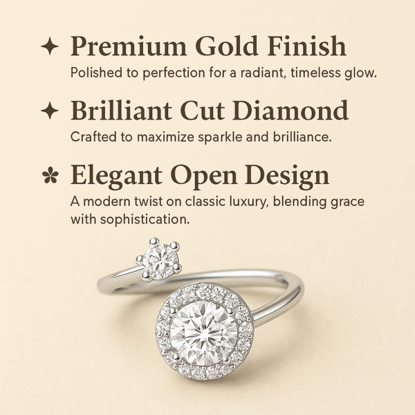Imported Silver Plated Ring